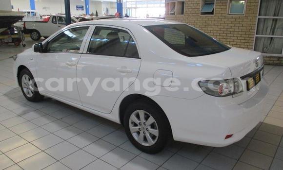 Acheter Occasion Voiture Toyota Corolla Blanc à Gobabis, Omaheke Acheter Occasion Voiture Toyota Corolla Blanc à Gobabis, Omaheke