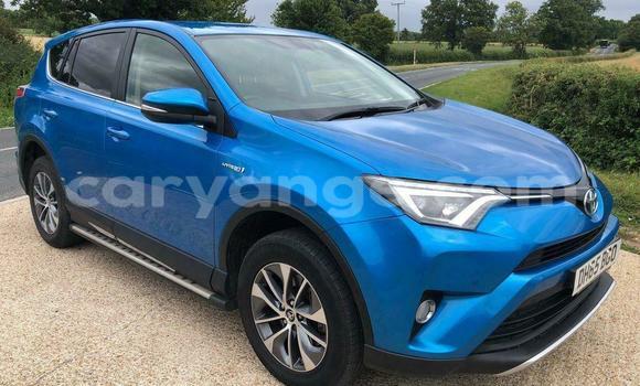 Buy Used Toyota RAV4 Blue Car in Windhoek in Namibia
