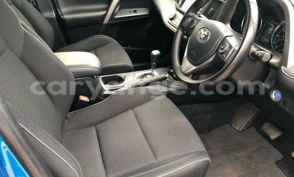 Buy Used Toyota RAV4 Blue Car in Windhoek in Namibia Buy Used Toyota RAV4 Blue Car in Windhoek in Namibia
