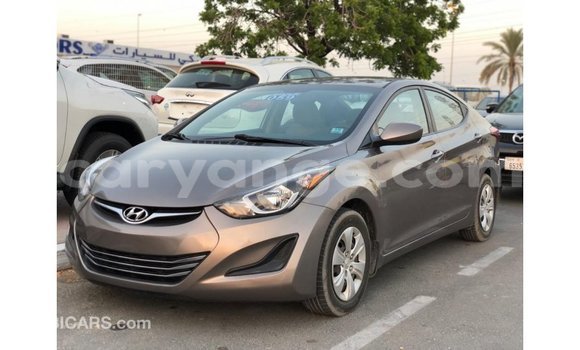 Buy Import Hyundai Elantra Brown Car in Import - Dubai in Namibia Buy Import Hyundai Elantra Brown Car in Import - Dubai in Namibia
