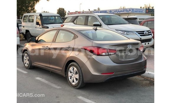 Buy Import Hyundai Elantra Brown Car in Import - Dubai in Namibia Buy Import Hyundai Elantra Brown Car in Import - Dubai in Namibia