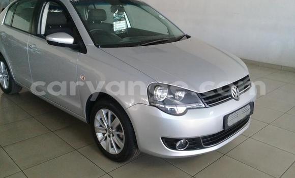 Buy Used Volkswagen Polo Silver Car in Windhoek in Namibia Buy Used Volkswagen Polo Silver Car in Windhoek in Namibia