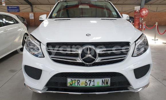 Buy Used Mercedes-Benz AMG GLE White Car in Windhoek in Namibia Buy Used Mercedes-Benz AMG GLE White Car in Windhoek in Namibia