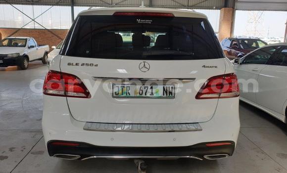 Buy Used Mercedes-Benz AMG GLE White Car in Windhoek in Namibia Buy Used Mercedes-Benz AMG GLE White Car in Windhoek in Namibia