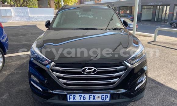 Buy Used Hyundai Tucson Black Car in Windhoek in Namibia
