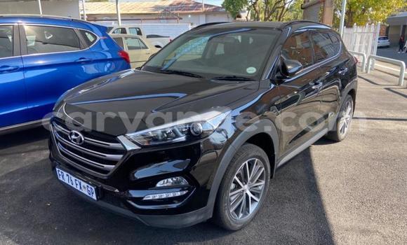 Buy Used Hyundai Tucson Black Car in Windhoek in Namibia Buy Used Hyundai Tucson Black Car in Windhoek in Namibia