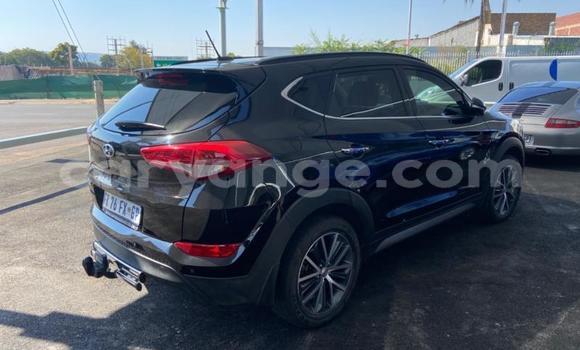 Buy Used Hyundai Tucson Black Car in Windhoek in Namibia Buy Used Hyundai Tucson Black Car in Windhoek in Namibia