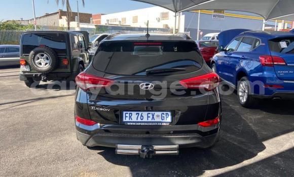 Buy Used Hyundai Tucson Black Car in Windhoek in Namibia Buy Used Hyundai Tucson Black Car in Windhoek in Namibia