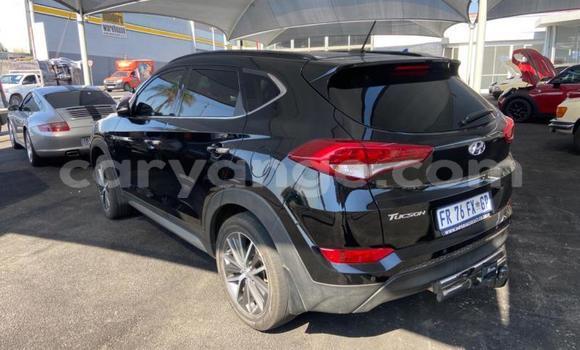Buy Used Hyundai Tucson Black Car in Windhoek in Namibia Buy Used Hyundai Tucson Black Car in Windhoek in Namibia
