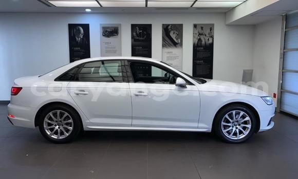 Acheter Occasion Voiture Audi A4 Gris à Import - Dubai, Namibie Acheter Occasion Voiture Audi A4 Gris à Import - Dubai, Namibie