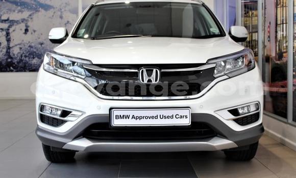Buy Used Honda CR–V White Car in Import - Dubai in Namibia