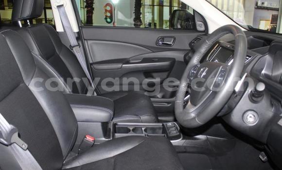 Acheter Occasion Voiture Honda CR–V Blanc à Import - Dubai, Namibie Acheter Occasion Voiture Honda CR–V Blanc à Import - Dubai, Namibie