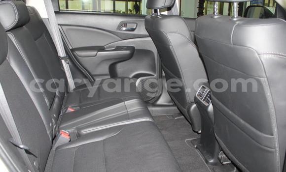 Acheter Occasion Voiture Honda CR–V Blanc à Import - Dubai, Namibie Acheter Occasion Voiture Honda CR–V Blanc à Import - Dubai, Namibie