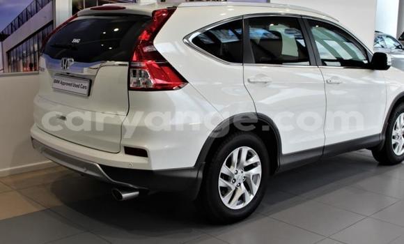 Acheter Occasion Voiture Honda CR–V Blanc à Import - Dubai, Namibie Acheter Occasion Voiture Honda CR–V Blanc à Import - Dubai, Namibie