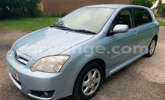 Buy Used Toyota Runx Blue Car in Windhoek in Namibia Buy Used Toyota Runx Blue Car in Windhoek in Namibia