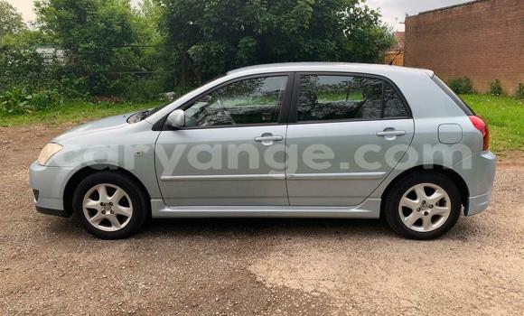 Buy Used Toyota Runx Blue Car in Windhoek in Namibia Buy Used Toyota Runx Blue Car in Windhoek in Namibia