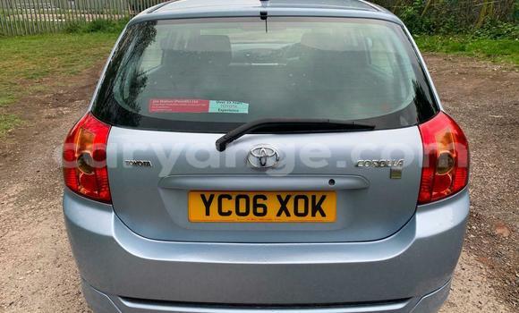 Buy Used Toyota Runx Blue Car in Windhoek in Namibia Buy Used Toyota Runx Blue Car in Windhoek in Namibia