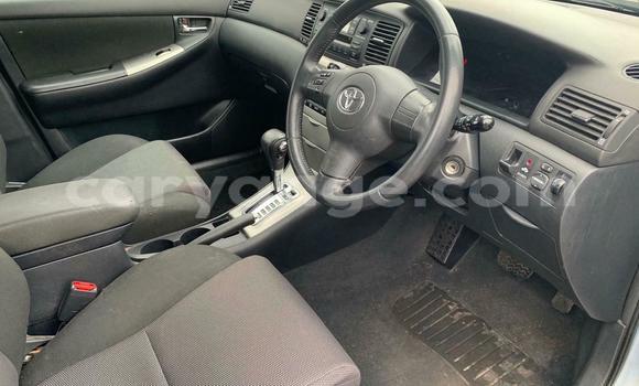 Buy Used Toyota Runx Blue Car in Windhoek in Namibia Buy Used Toyota Runx Blue Car in Windhoek in Namibia