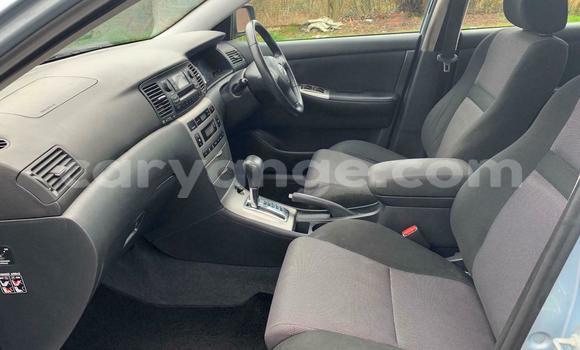 Buy Used Toyota Runx Blue Car in Windhoek in Namibia Buy Used Toyota Runx Blue Car in Windhoek in Namibia