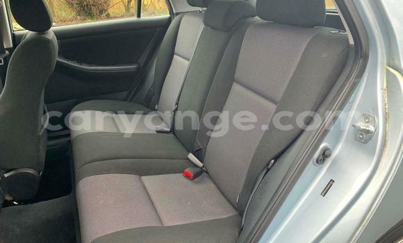 Buy Used Toyota Runx Blue Car in Windhoek in Namibia Buy Used Toyota Runx Blue Car in Windhoek in Namibia