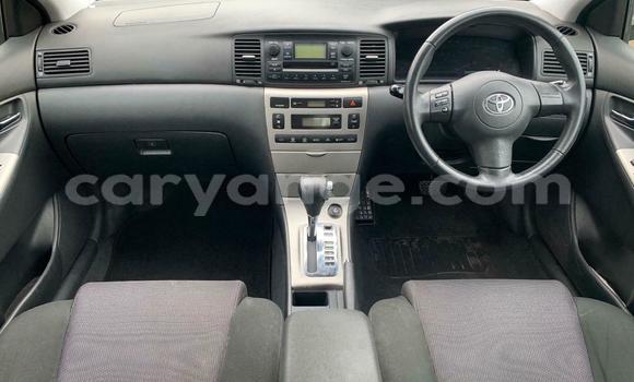 Buy Used Toyota Runx Blue Car in Windhoek in Namibia Buy Used Toyota Runx Blue Car in Windhoek in Namibia