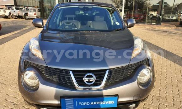 Buy Used Nissan Juke Other Car in Grootfontein in Namibia Buy Used Nissan Juke Other Car in Grootfontein in Namibia