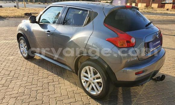 Buy Used Nissan Juke Other Car in Grootfontein in Namibia Buy Used Nissan Juke Other Car in Grootfontein in Namibia