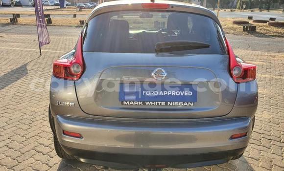 Buy Used Nissan Juke Other Car in Grootfontein in Namibia Buy Used Nissan Juke Other Car in Grootfontein in Namibia