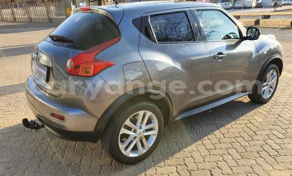 Buy Used Nissan Juke Other Car in Grootfontein in Namibia Buy Used Nissan Juke Other Car in Grootfontein in Namibia