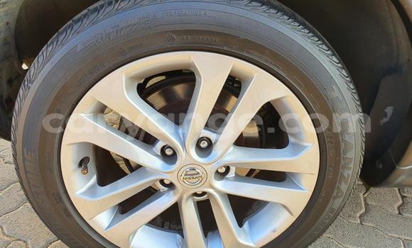 Buy Used Nissan Juke Other Car in Grootfontein in Namibia Buy Used Nissan Juke Other Car in Grootfontein in Namibia