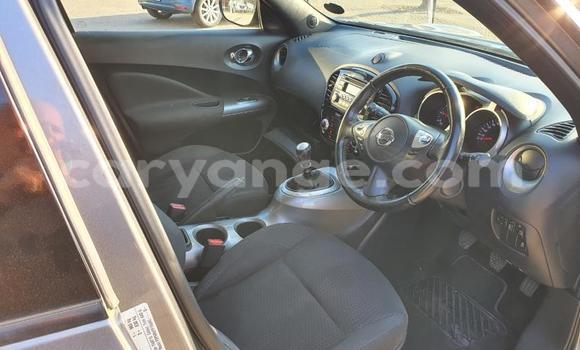Buy Used Nissan Juke Other Car in Grootfontein in Namibia Buy Used Nissan Juke Other Car in Grootfontein in Namibia