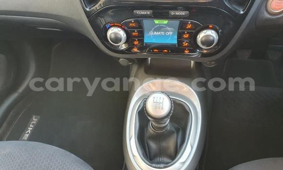 Buy Used Nissan Juke Other Car in Grootfontein in Namibia Buy Used Nissan Juke Other Car in Grootfontein in Namibia