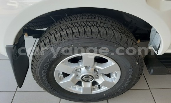 Buy Used Nissan Hardbody White Car in Henties Bay in Erongo Buy Used Nissan Hardbody White Car in Henties Bay in Erongo