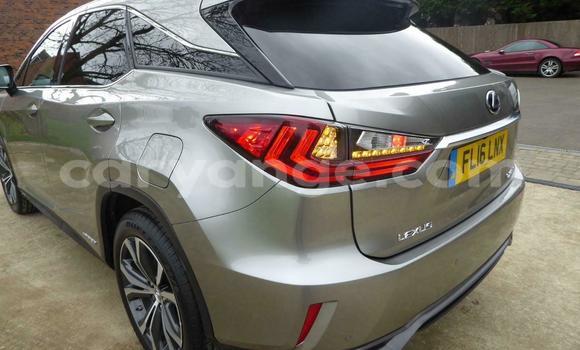 Buy Used Lexus RX Beige Car in Windhoek in Namibia Buy Used Lexus RX Beige Car in Windhoek in Namibia