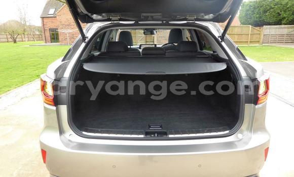 Buy Used Lexus RX Beige Car in Windhoek in Namibia Buy Used Lexus RX Beige Car in Windhoek in Namibia