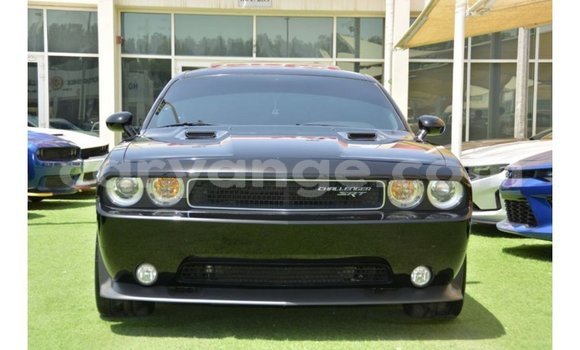 Buy Import Dodge Challenger Black Car in Import - Dubai in Namibia