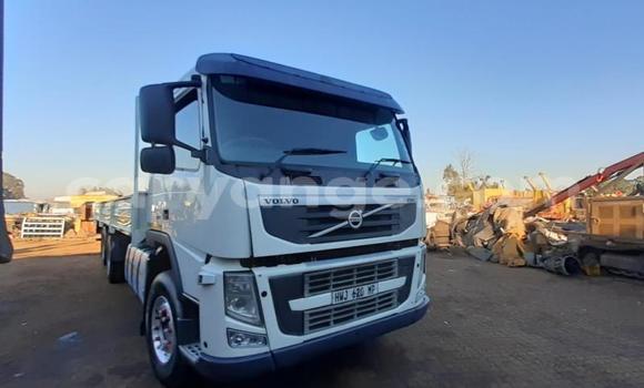 Buy Used Volvo F4 White Truck in Karasburg in Karas