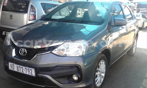 Buy Used Toyota Etios Beige Car in Windhoek in Namibia