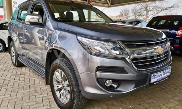 Buy Used Chevrolet TrailBlazer Other Car in Walvis Bay in Namibia