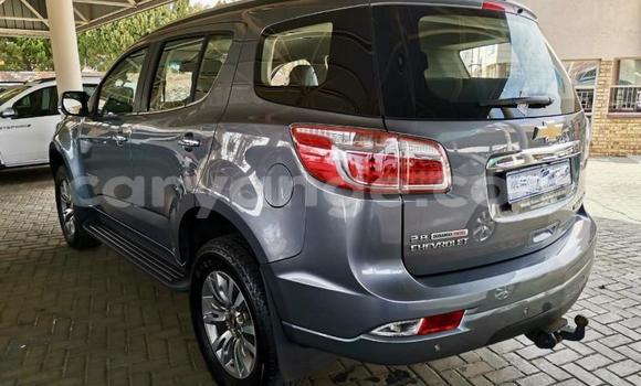 Acheter Occasion Voiture Chevrolet TrailBlazer Autre à Walvis Bay, Namibie Acheter Occasion Voiture Chevrolet TrailBlazer Autre à Walvis Bay, Namibie