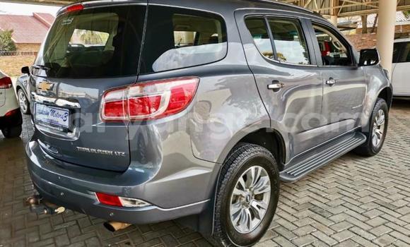 Acheter Occasion Voiture Chevrolet TrailBlazer Autre à Walvis Bay, Namibie Acheter Occasion Voiture Chevrolet TrailBlazer Autre à Walvis Bay, Namibie