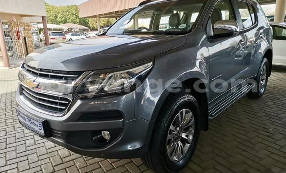 Acheter Occasion Voiture Chevrolet TrailBlazer Autre à Walvis Bay, Namibie Acheter Occasion Voiture Chevrolet TrailBlazer Autre à Walvis Bay, Namibie