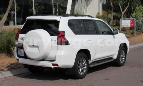 Buy Used Toyota Prado White Car in Rundu in Namibia Buy Used Toyota Prado White Car in Rundu in Namibia