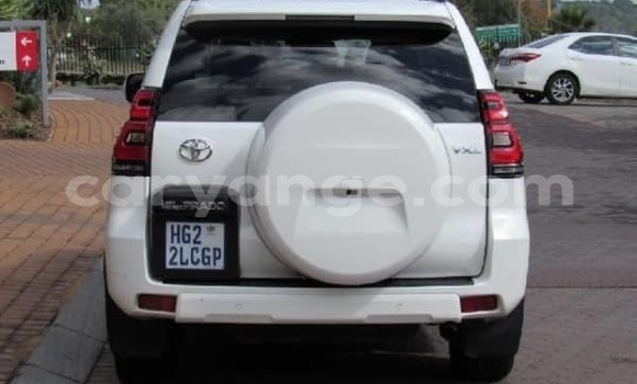 Buy Used Toyota Prado White Car in Rundu in Namibia Buy Used Toyota Prado White Car in Rundu in Namibia