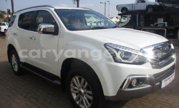 Buy Used Isuzu MU-X White Car in Walvis Bay in Namibia