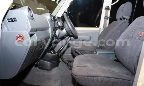 Acheter Occasion Voiture Toyota Land Cruiser Autre à Karasburg, Karas Acheter Occasion Voiture Toyota Land Cruiser Autre à Karasburg, Karas