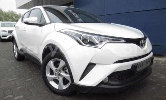 Buy Used Toyota C-HR White Car in Gobabis in Omaheke