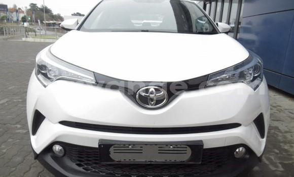 Acheter Occasion Voiture Toyota C-HR Blanc à Gobabis, Omaheke Acheter Occasion Voiture Toyota C-HR Blanc à Gobabis, Omaheke