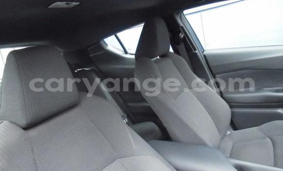 Acheter Occasion Voiture Toyota C-HR Blanc à Gobabis, Omaheke Acheter Occasion Voiture Toyota C-HR Blanc à Gobabis, Omaheke