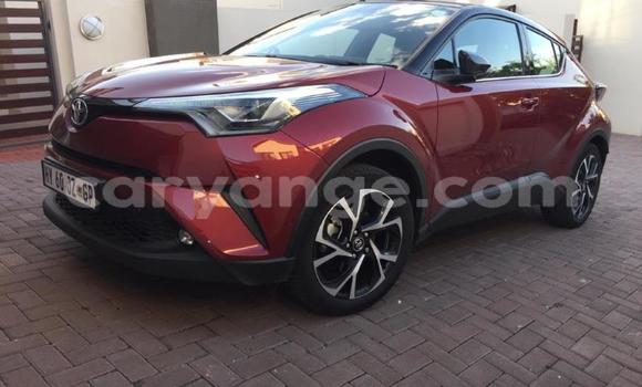 Buy Used Toyota C-HR Red Car in Grootfontein in Namibia Buy Used Toyota C-HR Red Car in Grootfontein in Namibia